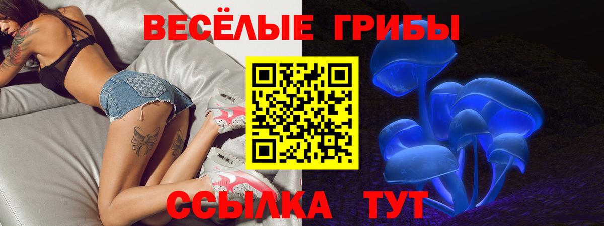 Холмск  Псилоцибиновые грибы мухоморы  Вход с VPN  Галлюциногенные грибы GOLDEN TEACHER 